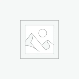 Aenean non pellentesque mauris